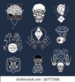 Set of Labels with hand draw human skeleton and anatomy