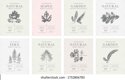 Set of labels of Natural organic herbal products. Vintage packaging design collection for Cosmetics, Pharmacy, healthy food, Indoor plants. Leaves and stems, real herbarium