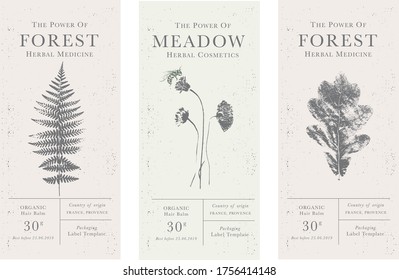 Set of labels of Natural organic herbal products. Vintage packaging design collection for Cosmetics, Pharmacy, healthy food, Indoor plants. Leaves and stems, real herbarium