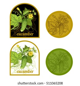 Set of labels with a picture of cucumber. Templates for creating labels packing vegetables. Vector illustration. Hand drawing.