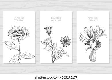 Set of labels, posters, greeting cards with the image of wild flowers and plants.