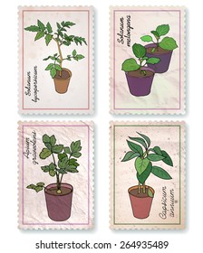 Set of labels: potted seedlings of garden plants with Latin names. Tomato, eggplant, celery and bell pepper. A post stamp-shaped, craft paper labels. Vector design.