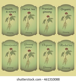 Set of  labels with root and leaves panax ginseng. Vector color hand drawn vintage illustration of medicinal plants. Biological additives are. Healthy lifestyle