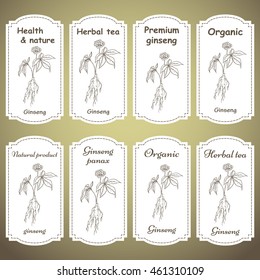 Set of  labels with root and leaves panax ginseng. Vector  hand drawn vintage illustration of medicinal plants. Biological additives are. Healthy lifestyle