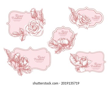 Set of labels, stickers for food products or cosmetics in engraving, vintage, old, retro shabby chic style.. Stock vector illustration.