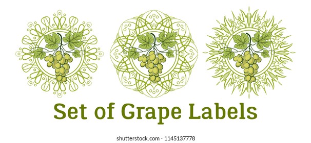 Set of Labels, Stickers with Green Grape Bunches, Berries and Leaves, on Abstract Round Patterns on White. Vector