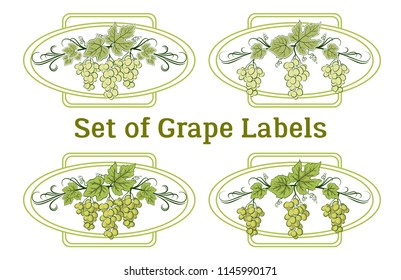 Set of Labels, Stickers with Green Grape Bunches, Berries and Leaves, on Ellipse and Square Frames. Vector
