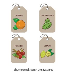 A set of labels or tag templates with drawn fruits and berries. Vector design elements for agriculture and food industry. Color template on a white background.