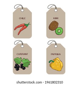 A set of labels or tag templates with drawn vegetables and fruits. Vector design elements for agriculture and food industry. Color template.