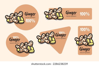 Set of labels with vector illustration of ginger in various geometric shapes