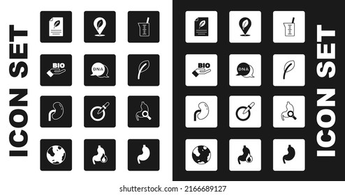Poner en venta los vidrios de laboratorio o el vaso de precipitados, símbolo de ADN, alimentos sanos para el bio, papel ecológico con hoja, hojas de hoja, localización, magnificación del estómago e icono del riñón humano. Vector