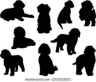 Set of labradoodle Dogs Silhouette svg