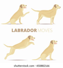 Set of labrador dog breed in various poses isolated. Vector retriever moves illustration