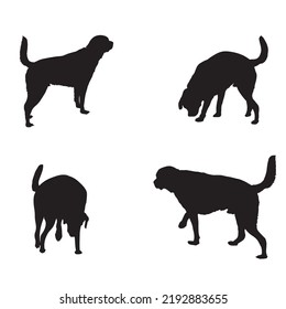 Set of Labrador dog silhouettes on white background