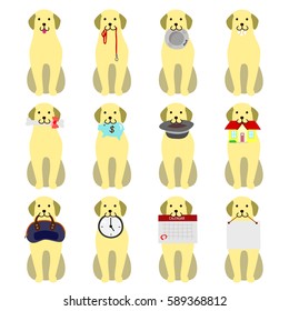 set of Labrador retriever holding object in its mouth