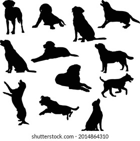 Set of Labrador Retriever Silhouette vector Illustration Eps10