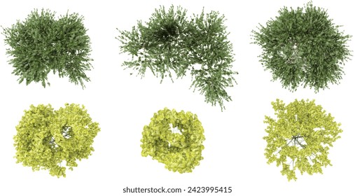 set of Laburnum anagyroides,Rhus typhina,Quercus robur Concordia trees rendered from the top view, 3D illustration, for digital composition, illustration, 2D plans, architecture visualization