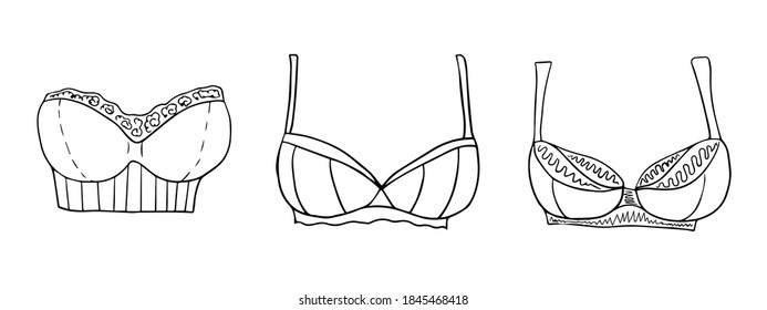 Hand Drawn Lingerie Panty Bra Set Stock Vector Royalty Free 509902738 Shutterstock 