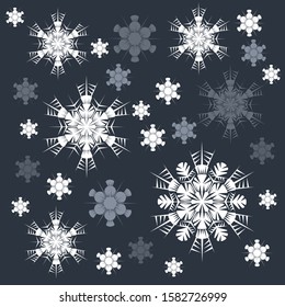 Set of lace snowflakes on a dark gray background. Winter snowy sky