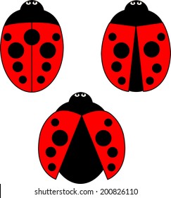 A set of ladybirds with spread and folded wings