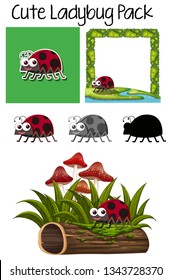 Set of ladybug character illustration