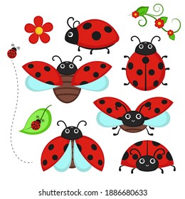 Set of ladybug characters isolated on white. Vector illustration.