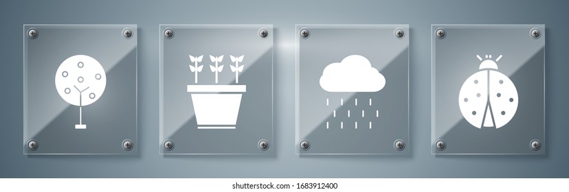 Set Ladybug, Cloud with rain, Plants in pot and Tree. Square glass panels. Vector