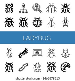 Set of ladybug icons such as Beetle, Bug, Ladybug, Stonefly, Sap beetle, Scolopendra, Centipede, Ant, Larva , ladybug