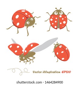 Set of ladybug, ladybird, vector illustration