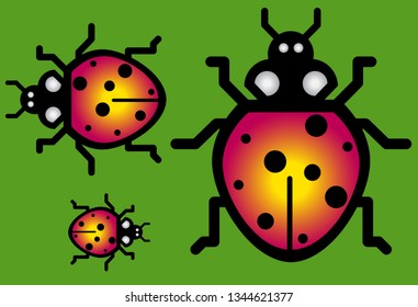 Set of ladybug. Red insects