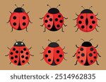 A set of ladybug vector illustration