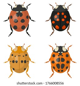Set of ladybugs. Beetles of different colors.