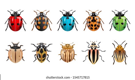 a set of ladybugs with different shapes and colors. modern design isolated white background.