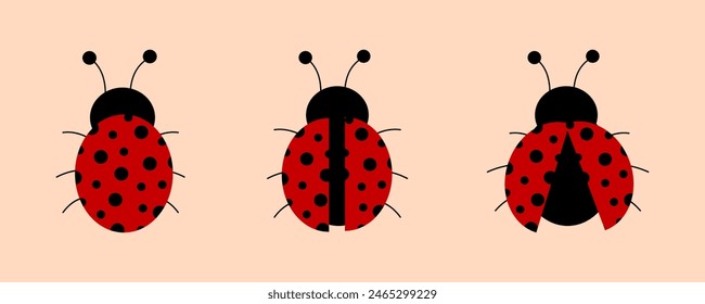 Set of ladybugs. Flat vector illustration