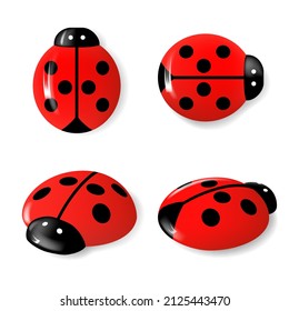 Set of Ladybugs set on white background. Bright insects 