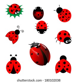 Set of ladybugs in vector