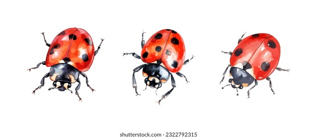 Set ladybugs watercolor isolated