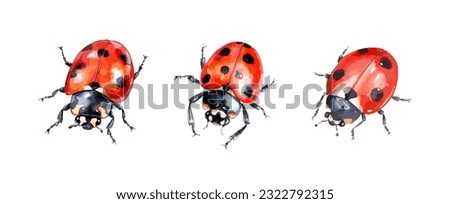 Set of ladybugs watercolor isolated on white background. Vector illustration