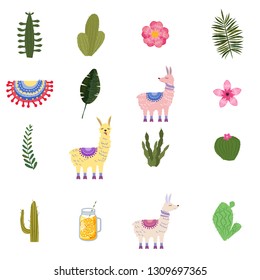 Set Lama Alpaca cacti drinks and decorative. Collection funny elements for decoration, vector, illustration, isolated, cute style