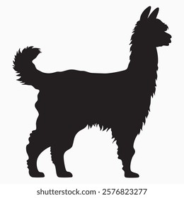 Set of lama cartoon character and 
Silhouette