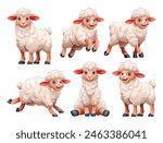 Set of lamb in different poses. Vector cartoon illustration