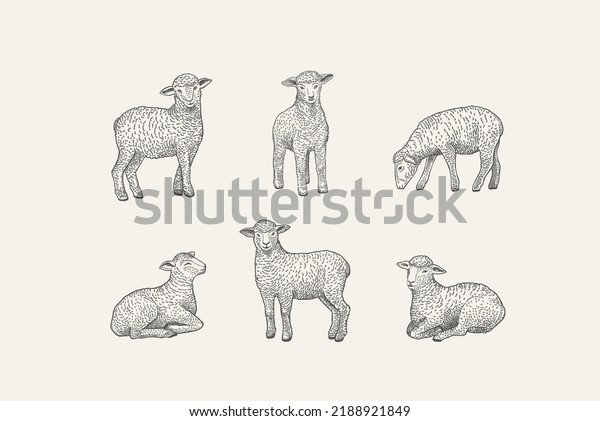 Set\
with lamb.  Vintage illustration. Black and\
white.