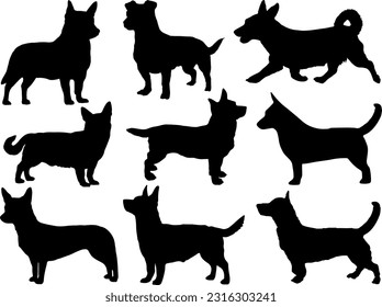 Set of Lancashire Heeler Dogs Silhouette