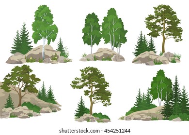 Set Landscapes, Coniferous and Deciduous Trees, Pine, Fir Tree, Birch, Flowers and Grass on the Rocks, Isolated on White Background. Vector