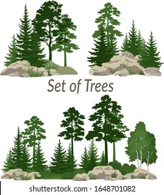 Set Landscapes, Isolated on White Background Coniferous and Deciduous Trees and Grass on the Rocks. Vector