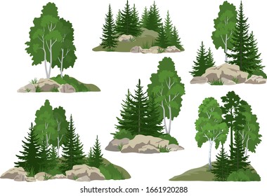 Set Landscapes, Isolated on White Background Coniferous and Deciduous Trees and Grass on the Rocks. Vector