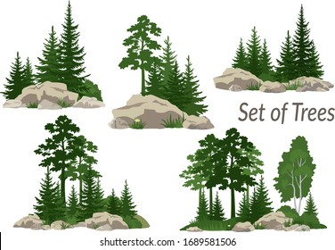 Set Landscapes, Isolated on White Background Coniferous and Deciduous Trees, Flowers and Grass on the Rocks. Vector