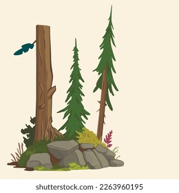 set of landscapes isolated on a white background coniferous trees, flowers and grass on the rocks. Vector