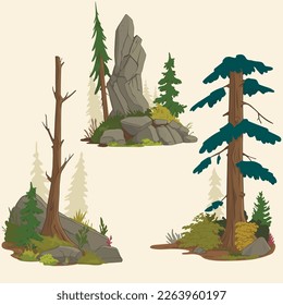 set of landscapes isolated on a white background coniferous trees, flowers and grass on the rocks. Vector