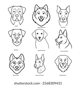 Set of Large Breeds Dog head Line Art illustration